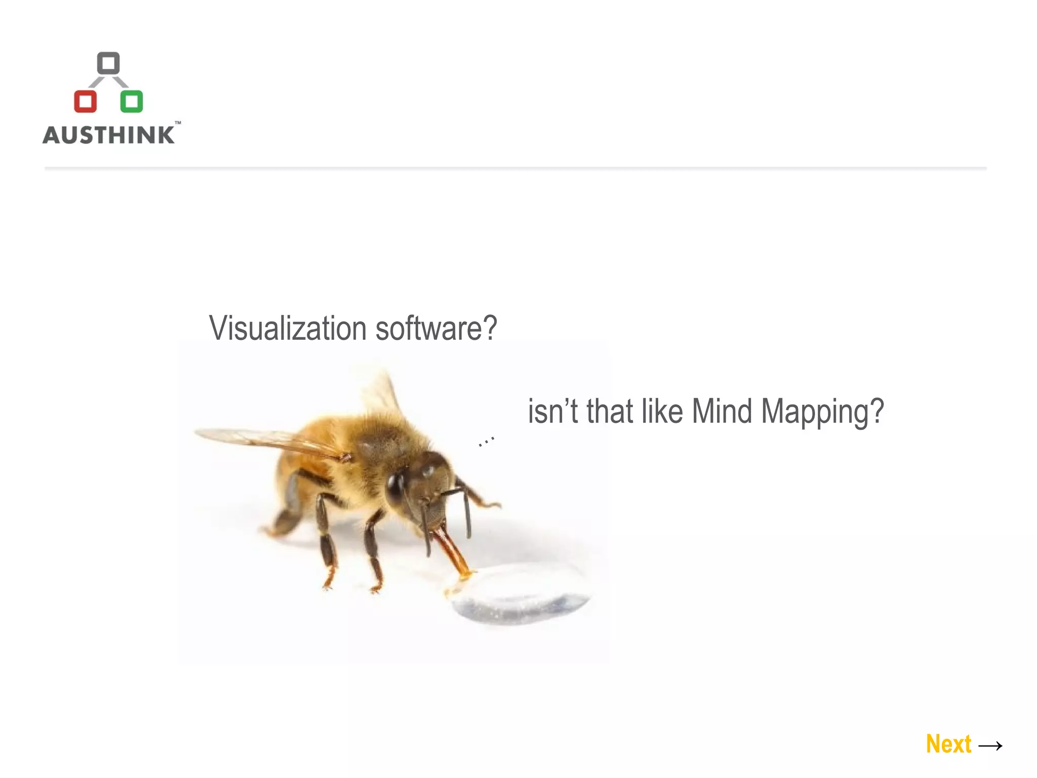 Next   -> Visualization software?   isn’t that like Mind Mapping? … 
