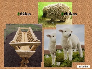 ėdţios   ėriukas




                   1 skaidrė
 