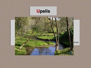 Upelis
 