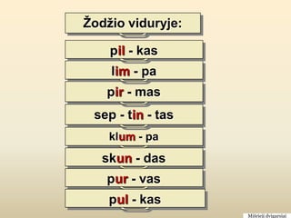 Žodžio viduryje:

    pil - kas
    lim - pa
   pir - mas
 sep - tin - tas
    klum - pa
   skun - das
   pur - vas
    pul - kas
                   Mišrieji dvigarsiai
 