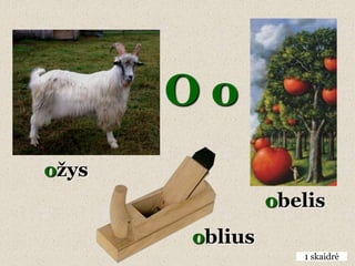 Oo
oţys
                obelis
       oblius
                   1 skaidrė
 