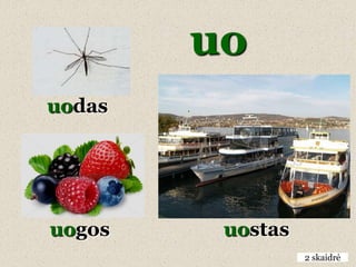 uo
uodas




uogos    uostas
                  2 skaidrė
 