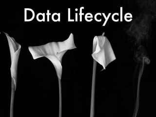 Data Lifecycle

 