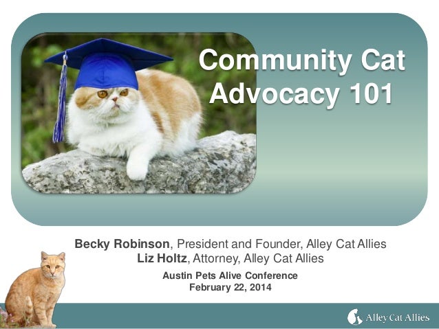 alley cat allies tnr