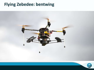 Flying Zebedee: bentwing
 