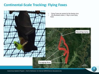 Continental-Scale Tracking: Flying Foxes
Autonomous Systems Program | Not for Distribution: for Internal CSIRO/Chevron discussions only
Roos ng Camp
Foraging Area
1 km
• Flying Foxes are vectors for the Hendra virus
• We developed collars (< 30g) to track flying
foxes
 