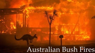 Australian Bush Fires
 