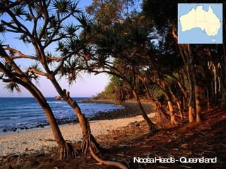 Noosa Heads - Queensland 