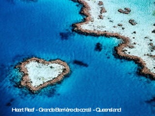 Heart Reef - Grande Barrière de corail - Queensland 
