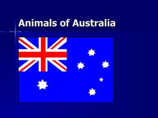 Animals of   Australia 