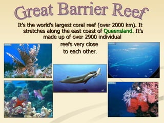 It’s the world’s largest coral reef (over 2000 km). It stretches along the east coast of  Queensland.  It’s made up of over 2900 individual  reefs very close  to each other . Great Barrier Reef 