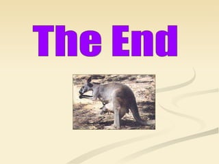 The End 