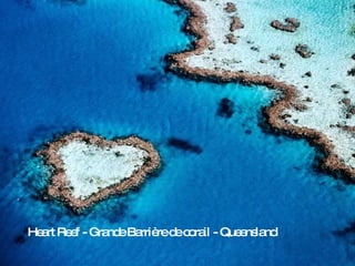 Heart Reef - Grande Barrière de corail - Queensland 