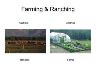 Farming & RanchingAustraliaAmericaRanchesFarms