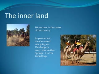 The inner land We are now in the centre of the country.  As you can see there’s a camel race going on. This happens every  year in Alice Springs.  It is The Camel Cup.