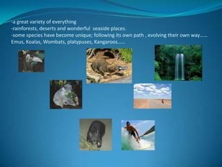 -a great variety of everything-rainforests, deserts and wonderful  seaside places.-some species have become unique; following its own path , evolving their own way…… Emus, Koalas, Wombats, platypuses, Kangaroos…… 