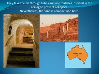 Australia-The land down under Slide 25