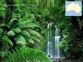 Beauchamp Falls - Victoria
 