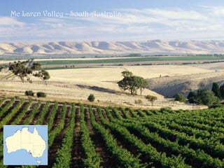 Mc Laren Valley - South Australia
 