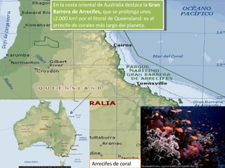 En la costa oriental de Australia destaca la  Gran Barrera de Arrecifes,  que se   prolonga unos ¡2.000 km! por el litoral de Queensland: es el arrecife de corales más largo del planeta.  Arrecifes de coral 
