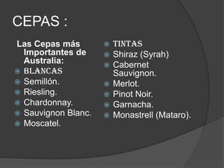 CEPAS :
Las Cepas más           TINTAS
  Importantes de        Shiraz (Syrah)
  Australia:            Cabernet
 BLANCAS                Sauvignon.
 Semillón.             Merlot.
 Riesling.             Pinot Noir.
 Chardonnay.           Garnacha.
 Sauvignon Blanc.      Monastrell (Mataro).
 Moscatel.
 
