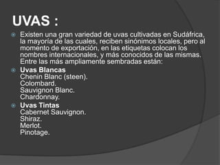 UVAS :
   Existen una gran variedad de uvas cultivadas en Sudáfrica,
    la mayoría de las cuales, reciben sinónimos locales, pero al
    momento de exportación, en las etiquetas colocan los
    nombres internacionales, y más conocidos de las mismas.
    Entre las más ampliamente sembradas están:
   Uvas Blancas
    Chenin Blanc (steen).
    Colombard.
    Sauvignon Blanc.
    Chardonnay.
   Uvas Tintas
    Cabernet Sauvignon.
    Shiraz.
    Merlot.
    Pinotage.
 