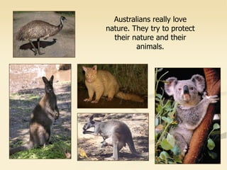 Australians really love
nature. They try to protect
their nature and their
animals.
 