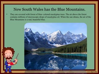 New South Wales has the Blue Mountains.
• They are covered with forest of blue- colored eucalyptus trees. The air above the forest
contains millions of microscopic drops of eucalyptus oil. When the sun shines, the air of the
Blue Mountains is a real, beautiful blue.
 