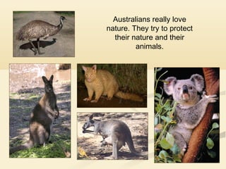 Australians really love
nature. They try to protect
their nature and their
animals.

 