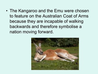 • The Kangaroo and the Emu were chosen
to feature on the Australian Coat of Arms
because they are incapable of walking
backwards and therefore symbolise a
nation moving forward.
 