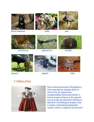 diavol tasmanian koala emu
ornitorincul pasarea lira echidna
cazuarul pinguini bilby
7.POPULATIA
Pana la sfarsitul secolului XX populatia a
fost remarcabil de omogena datorita
restrictiilor de imigrare non-
europeana.Majoritatea australienilor a
fost de origine britanica si din regiunile
locuite de albi ale Comunitatii Britanice a
Natiunilor Unite.Religia principala a fost
si ramane crestinismul,predominand
romano-catolicii si anglicanii.Cel mai mare
 