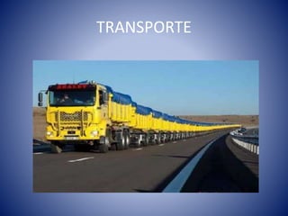 TRANSPORTE
 