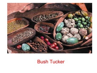 Bush Tucker
 
