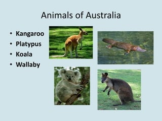 Animals of Australia
•   Kangaroo
•   Platypus
•   Koala
•   Wallaby
 