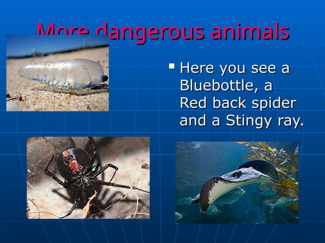 WHERE IS AUSTRALIA CULTURE FACTS TRAVEL visual data 6