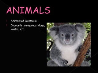    Animals of Australia:
   Cocodrile, cangarous, dogs,
    koalas, etc.
 