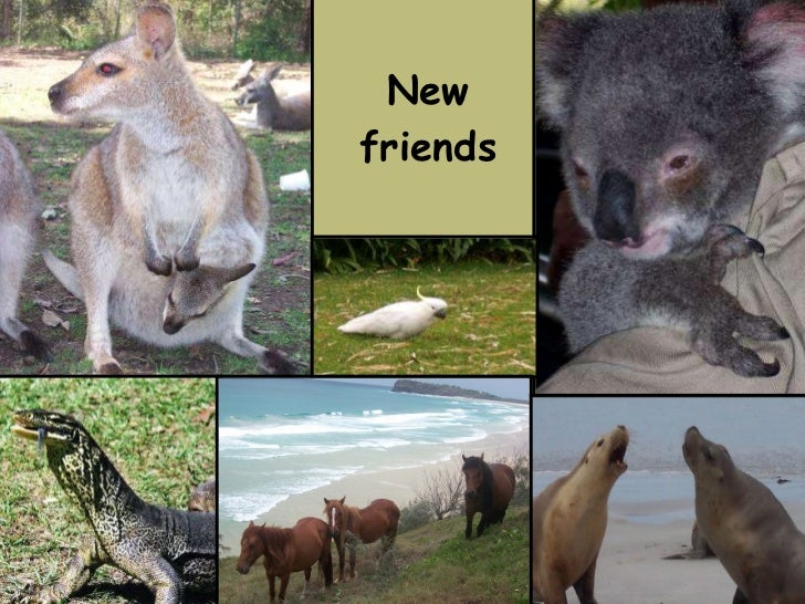 Australia Down Under