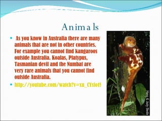Animals As you know in Australia there are many animals that are not in other countries. For example you cannot find kangaroos outside Australia. Koalas, Platypus, Tasmanian devil and the Numbat are very rare animals that you cannot find outside Australia. http://youtube.com/watch?v=xu_CYslo1SI   