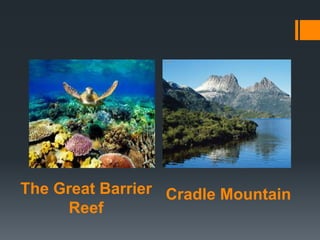 The Great Barrier
Reef
Cradle Mountain
 