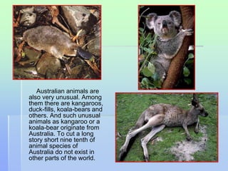 Australian animals are 
also very unusual. Among 
them there are kangaroos, 
duck-fills, koala-bears and 
others. And such unusual 
animals as kangaroo or a 
koala-bear originate from 
Australia. To cut a long 
story short nine tenth of 
animal species of 
Australia do not exist in 
other parts of the world. 
 