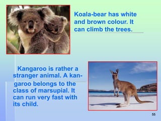 Koala-bear has white 
and brown colour. It 
can climb the trees. 
Kangaroo is rather a 
stranger animal. A kan-garoo 
belongs to the 
class of marsupial. It 
can run very fast with 
its child. 
55 
 