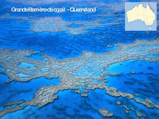 Grande Barrière de corail - Queensland 