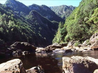 FRANKLIN RIVER ~ TASMANIA
 