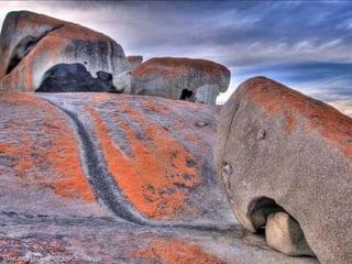 KANGAROO ISLAND ~ SOUTH AUSTRALIA
 