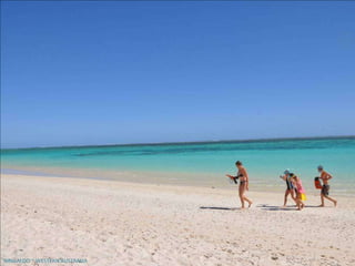 NINGALOO ~ WESTERN AUSTRALIA
 