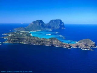 MOUNT GOWLER ~ LORD HOWE ISLAND ~ NSW
 