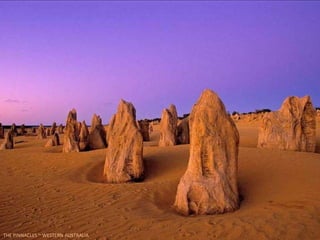 THE PINNACLES ~ WESTERN AUSTRALIA
 