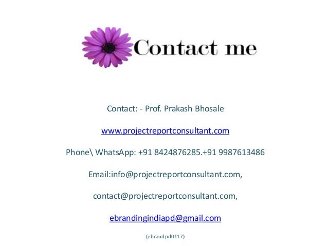 Professor writing services
