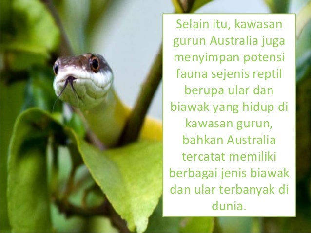 Australia Sebagai Negara Maju