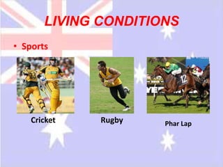LIVING CONDITIONS
• Sports




    Cricket   Rugby   Phar Lap
 